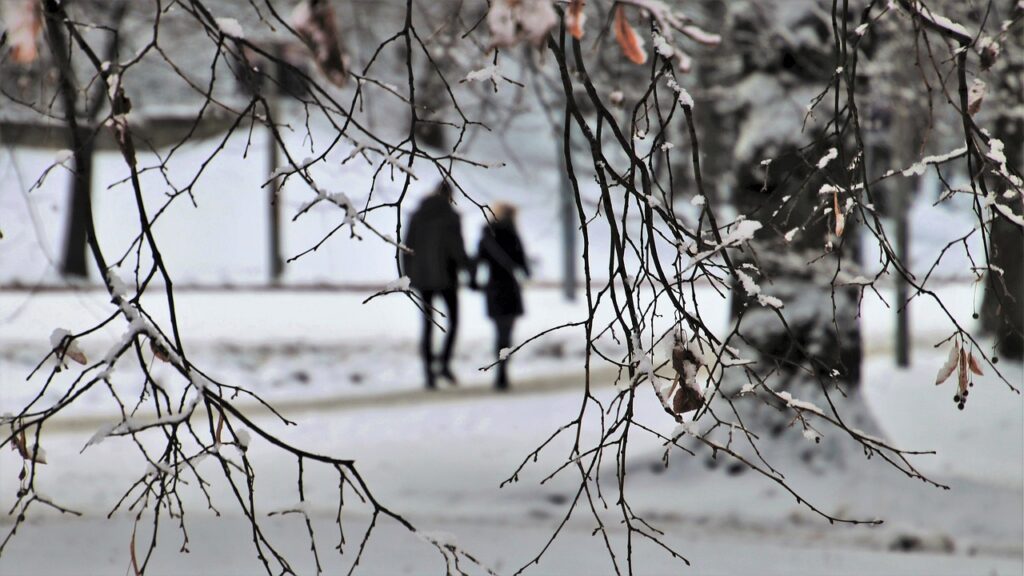 couple walking in a snowy park